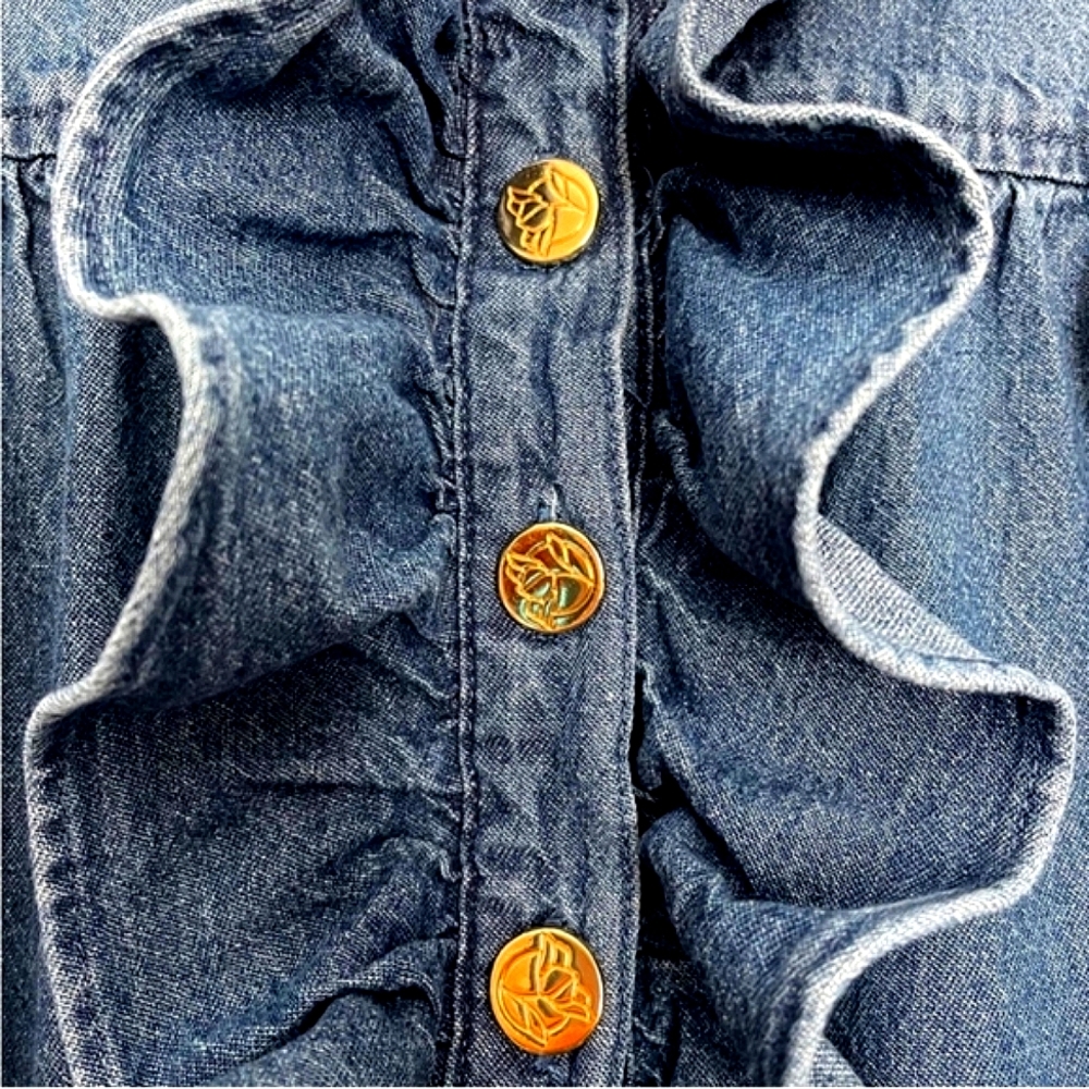 COPY - Draper James RSVP Denim Long Sleeve Ruffled Button Up Mini Dress. Size L - Picture 8 of 10